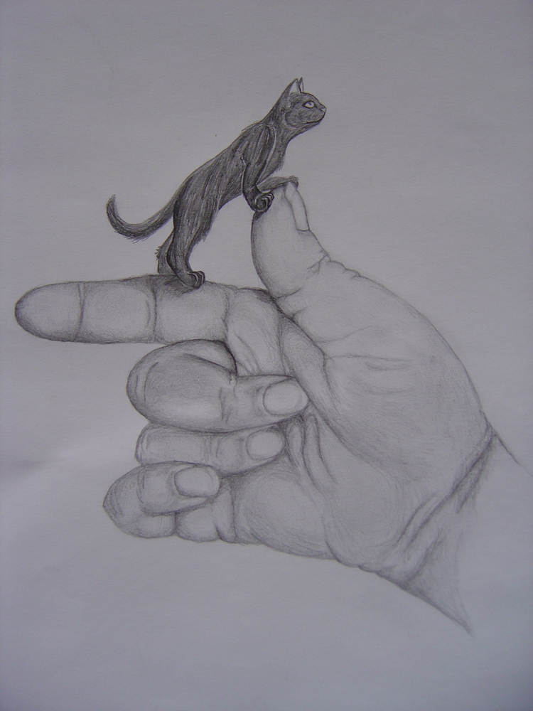 It's a tiny cat. Hand Drawn.